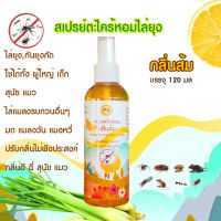 สเปรย์ตะไคร้หอมกันยุง กลิ่นส้ม ขนาด 120 มล citronella mosquito repellant spray  ไล่ยุง กันยุง ใช้ได้ในเด็ก 2 ปี ขึ้นไป สุนัข และแมว กลิ่นหอมเปลือกส้ม ไม่เหนอะผิว กันยุงรบกวน นาน 1-2 ชั่วโมง ฉีดซ้ำได้ เมื่ิอต้องการ