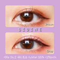 ?Sirine-Brown•Gray☆สายตา00-1000☆รายเดือน