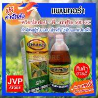 ***ส่งฟรี*** (Quizalofop-P-tefuryl) แพนเทอร่า 500 cc ควิซาโลฟอป - พี - เทฟูริล กำจัดหญ้าใบแคบโดยเฉพาะสำหรับไร่มัน แปลงผัก