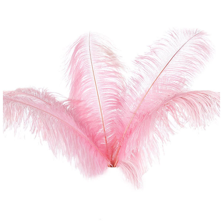 10 pcs Natural Ostrich Feathers Wedding Party Decoration Pink 20-25cm 