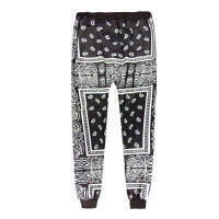 3D Men suit Cashew nut Bandana Paisley Joggers Pants MenHip Hop Trousers