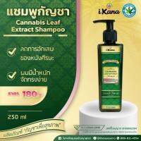 แชมพู iKANA Shampoo