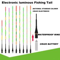 ❈✆﹍ Electronic Floating Tail Eye-Catching Night Fishing Floating Tail Day Night Induction Discoloration Luminous Floating Tail Gear