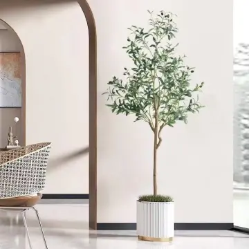 Shop Artificial Olive Tree online