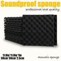 ◊✣✱ (cod)6/12pcs Acoustic sponge Studio foam Sound insulation cotton wall sound-absorbing board KTV recording studio bedroom