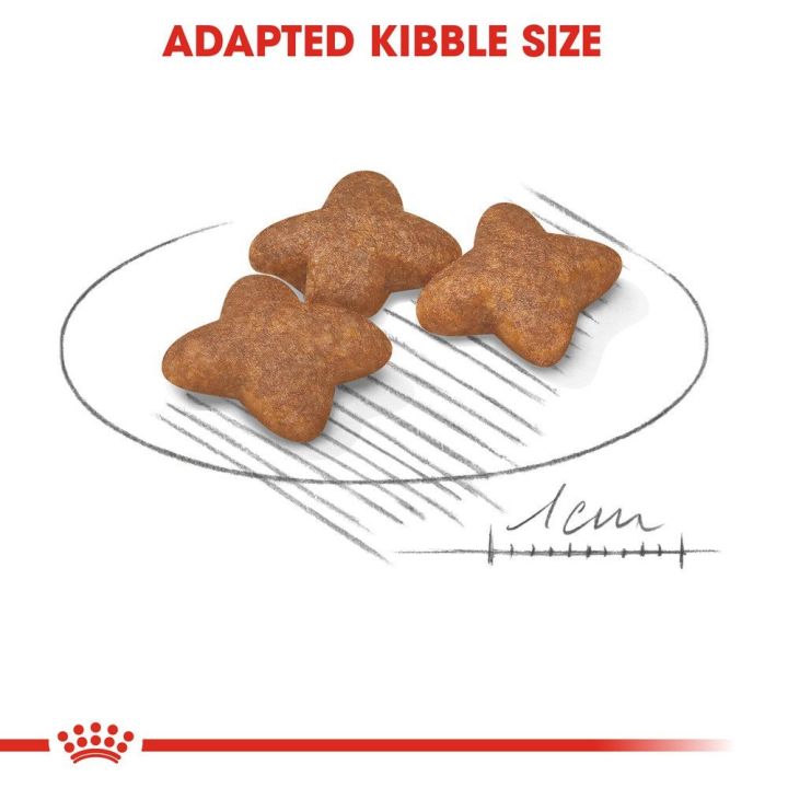 ส่งฟรี-royal-canin-mini-adult-8kg-อาหารเม็ดสุนัขโต-พันธุ์เล็ก-อายุ-10-เดือน-8-ปี