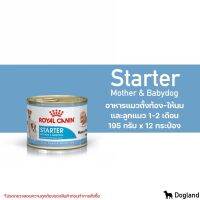 พลาดไม่ได้ โปรโมชั่นส่งฟรี Royal Canin Starter Mousse 12 กป/แพ็ค