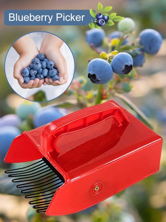rebrole-เครื่องเก็บผลไม้-เครื่องมือทำสวนเก็บผลไม้พร้อมหวีโลหะพร้อมหวีเก็บ