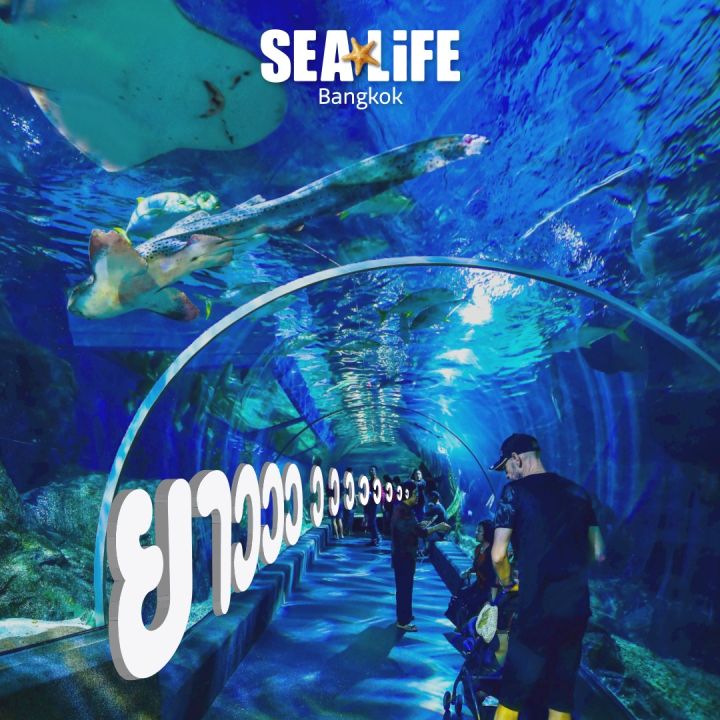 บัตรเข้าชม-sealife-bangkok-ocean-world-ซีไลฟ์-โอเชี่ยนเวิลด์-สยามพารากอน