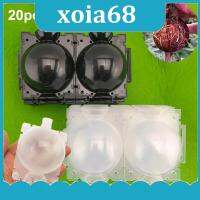 xoia68 Shop 20pcs Plant Rooting Ball fruit tree Root grow box plastic case Box Grafting Rooter Growing High-pressure transparent black pot