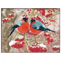 Cross Stitch Kit Stamped Patterns Embroidery Starter Kits for Adult Beginners and Kids DIY Easy Cross-Stitch - Bullfinch