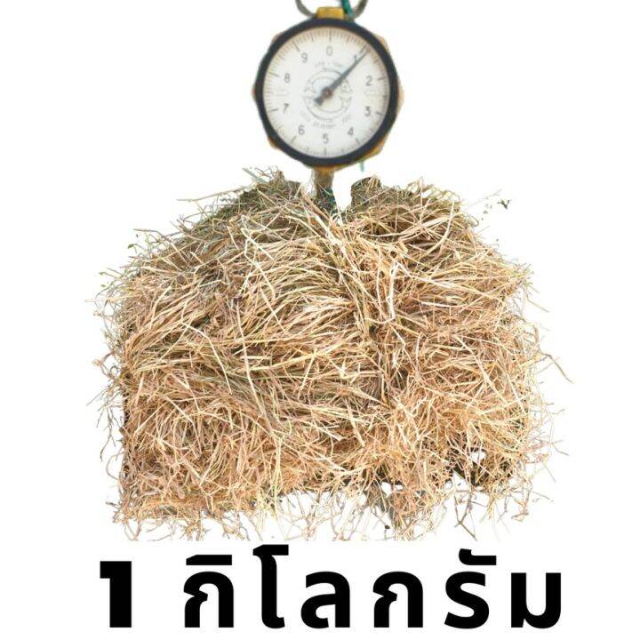 ฟางข้าวอัดก้อน-ฟางก้อน-ฟางข้าว-ฟางแห้ง-กก-ละ-6-บาท-ส่งจากนครปฐม-ราคาหน้าไร่มาเอง-ไม่ชื้น-ไม่เก่า-ไม่ขึ้นรา-อัดใหม่ๆ-ค่าส่งไม่แพง