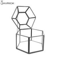 2021Clear Glass &amp; Brass-Tone Metal Hinged Top Lid Terrarium BoxTabletop Jewerly Display Case