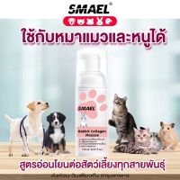 150 mL smael Rabbit Collagen Mousse มูสโฟมอาบน้ำแห้งหมาแมวสูตรอ่อนโยน กลิ่นหอม ขนสวย สะอาด ดับกลิ่น ด้วยคุณภาพจากธรรมชาติที่ได้จากดอกคาโมมาย แชมพูกระต่าย แชมพูแห้งกระต่าย แฮมเตอร์  Foam Shampoo  S005  200 FHA