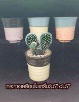 กระถางเคลือบทรงโมเดิร์น 3.5×3.5 6 ใบ 189 เหลือแต่ส้มดำ