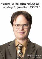 ✈☍ DWIGHT SCHRUTE - สำนักงาน Art ฟิล์มพิมพ์ผ้าไหมโปสเตอร์ Home Wall Decor 24x36inch