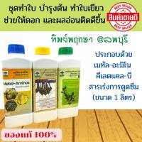 ปุุ๋ยทางใบ ชุดทำใบ บำรุงต้นไม้ เมทัล แคลบี ยาจับใบ ทิพย์พฤกษา ขนาด 1 ลิตร