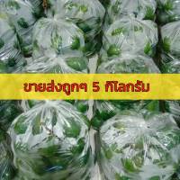 อโวคาโดขนาด 5 กิโลกรัมดอยอ่างขางเชียงใหม่ คัดอย่างดีโครงการหลวง