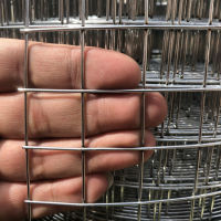 Spot parcel post Hot Dip Galvanized Steel Wire Mesh Anti-Rust Barbed Wire Fence Breeding Chicken Pigeon Anti-Mouse Bird Cage Rabbit Cage Snake Ring Ground Grid Isolation