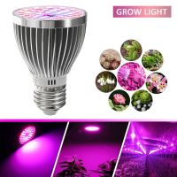 หลอดไฟ60W E27 E27สเปกตรัมสำหรับต้นกล้า Grow Phyto โคมไฟ Grow หลอดLED ไฮโดรโพนิคดอกไม้ไฟโตหลอดไฟ