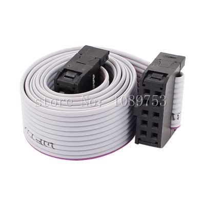 10pcs FC10P 10Cm 10-Pin IDC Socket Extension Flat Ribbon Cable Wire for ISP JTAG 3.9 inch Wires  Leads Adapters