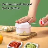 Manual Garlic Chopper Handheld Ginger Fruit Vegetable Meat Mincer Kitchen Multi-function Blender Home Cooking Accessories Gadget