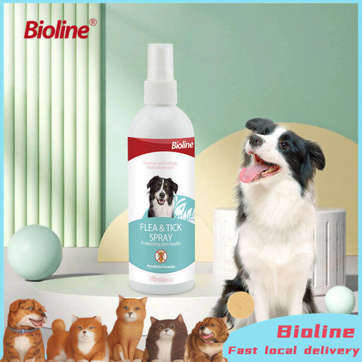 Bioline Pet flea and bug spray 175ML Lazada PH