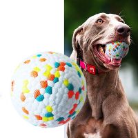 Bite Resistant Solid Dog Ball Interactive High Elasticity Food Grade Pet Chew Toys For Small Medium Large Breed