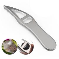 Stainless Steel Fish Scale Cleaner Seafood Tools Kitchen Accessories Scaler Brush Fish Scale Planer Fish Skin Scraper Gadget fabulous