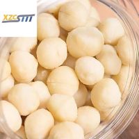 xzcstttNew Cargo Macadamia Nut Whole 500g Shell Free Creamy Flavor Nut Snack