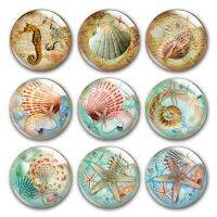 ชีวิตในมหาสมุทรแก้ว Cabochon เปลือกหอยเปลือกหอยปลาดาว Hippocampus Sealife ทรงกลมแก้ว Cabochon สาธิตการทำกลับแบนผล