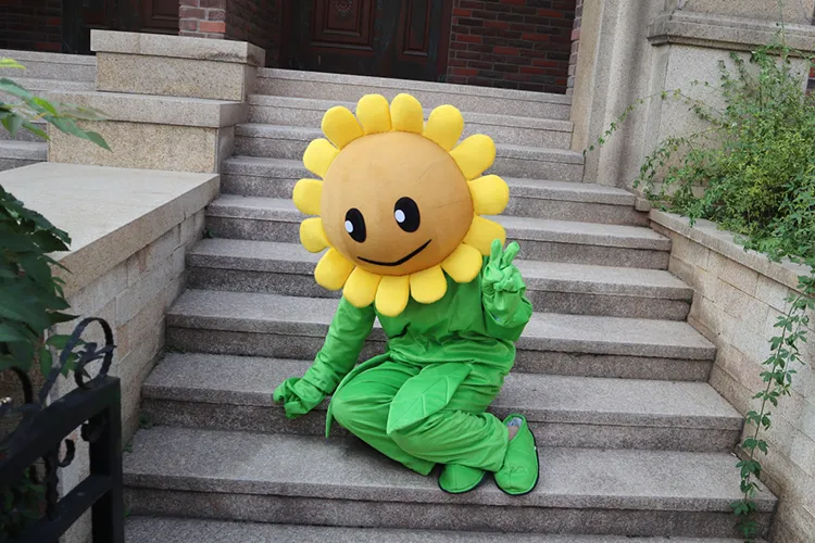  Plants Vs. Zombies Sunflower Costume for Kids Large