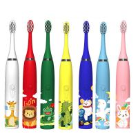 HOKDS Sonic Electric Toothbrush for Children Cartoon Pattern for Kids with Replace The Tooth Brush Head Ultrasonic Toothbrush for Gift