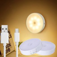 ✎❖✵ LED Night Light Motion Sensor Wall-Mounted Lamp for Kitchen Bedroom Stairs Cabinet Closet Wardrobe Chargeable Light With switch