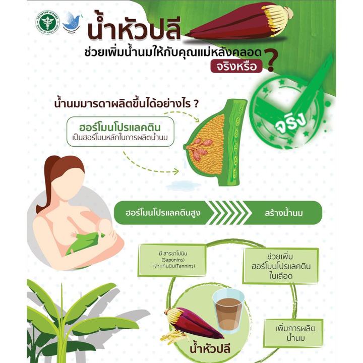 ส่งฟรี-1-แถม-1ชาต้นรัก-ชาเพิ่มน้ำนมแม่-ชาหัวปลีกระตุ้นน้ำนม-ไม่มีคาเฟอีน-ไม่มีน้ำตาล-ธรรมชาติ-100-ทานง่าย