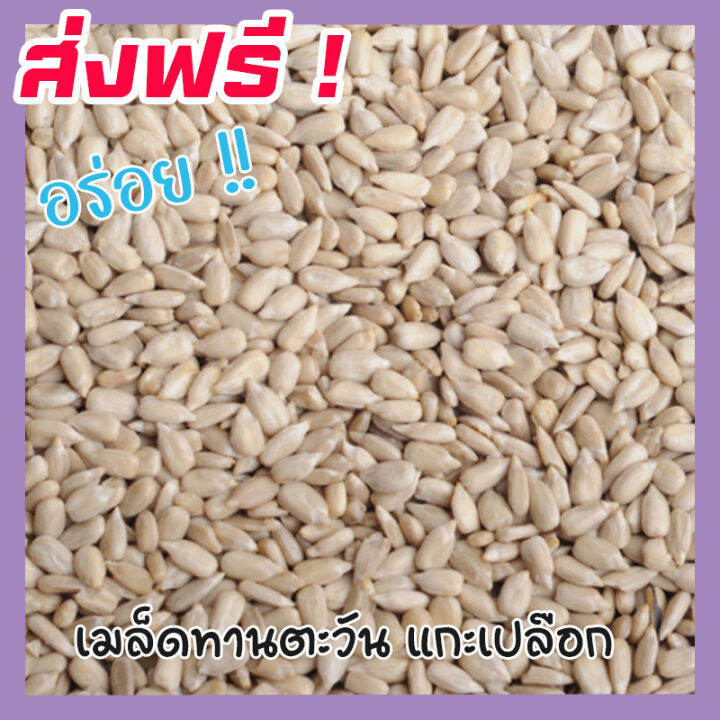 ส่งฟรี-ซื้อ-1-ฟรี-1-เมล็ดทานตะวันแกะเปลือก-sunflower-seeds-roasted-unsalted-ขนาด-500กรัม-ฟรี-100กรัม-เม็ดทานตะวัน-ทานตะวันอบ-ขนมกินเล่นถูกๆ-ขนมกินเล่น-อาหารพร้อมทาน-ขนมที่ดังใน-tiktok-ขนมถูกๆส่งฟรี-ธั