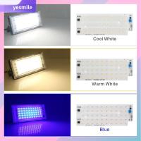 YESMILE AC 220V ลูกปัดโคมไฟ LED เอสเอ็มดี2835 สำหรับไฟถนน LED ชิป LED สำหรับฟลัดไลท์ ชิปแสงกลางแจ้ง ลูกปัดแสงสปอตไลท์