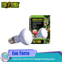 หลอด UVA แสงกลางวัน Exo Terra Daylight Basking Spot 75 w.