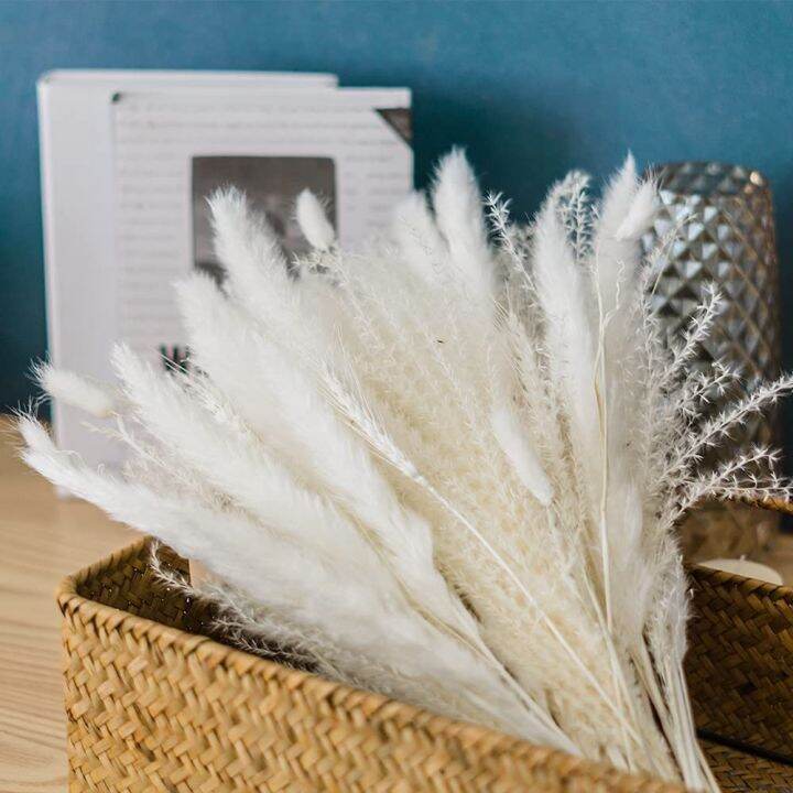 cc-65pcs-pampas-boho-wedding-arrangement-dried-bouquets-fluffy-iving-room-table-decoration