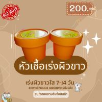 ครีมหัวเชื้อผิวขาวจรวด ขนาด 100 กรัม