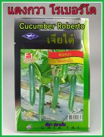 เมล็ดพันธุ์ แตงกวา พันธุ์โรเบอร์โต้ cucumber roberto แตงกวาญี่ปุ่น ดก งอกดี ต้นแข็งแรง ปลูกง่าย น้ำหนักดี ผลผลิตสูง ทนโรค ผักสวนครัว