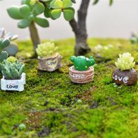 【cw】 1Pc Pot Ornament Moss Landscape Garden