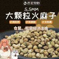 Large Particles Hemp Seed Hamster Squirrel Totoro Staple Food Snacks High Quality Hemp Food Parrot Bird Molar Feed