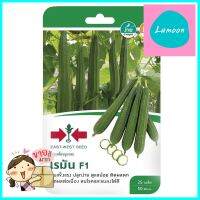 เมล็ดพันธุ์บวบเหลี่ยม F1 โรมันANGLED LOOFAH SEED F1 SORNDAENG ROMAN **ราคาดีที่สุด**