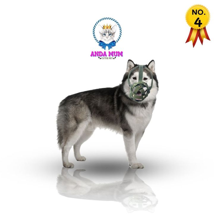 andamum-ตะกร้อครอบปากสุนัข-เบอร์-4-คละสี-สามารถดื่มน้ำได้-ขนาดรอบหัวและคาง-15-20-นิ้ว-38-51-cm-dog-muzzle-ที่ครอบปากหมา-ที่รัดปากหมา