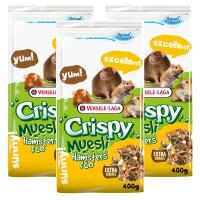 Versale Laga อาหารหนูแฮมเตอร์ 400g (3 ถุง) Versale Laga Crispy Muesli Hamsters Food 400g (3 bags)