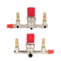 Double Outlet Tube Regulator Valve Alloy Switch Pressure Regulator Valve Fitting Part Accessories