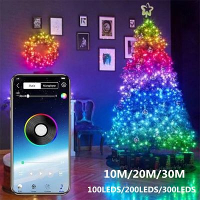 USB Smart Bluetooth Led Copper Wire String Light 5M/10M/20M/30M App Control Christmas Tree Decor New Year Fairy Light Garland Fairy Lights
