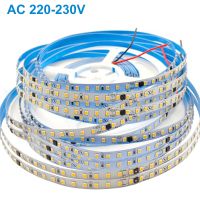 【CW】 AC220V 230V Led Strip 5M 2835 120LEDs/m Lamp Warm Cold and Cuttable Soft Bar