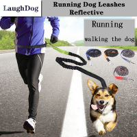 2022 New Reflective Dog Leash Adjustable Traction Rope For Dogs Walking Running Belt Hands Freely Elastic Pet Dog Leashes D-ring